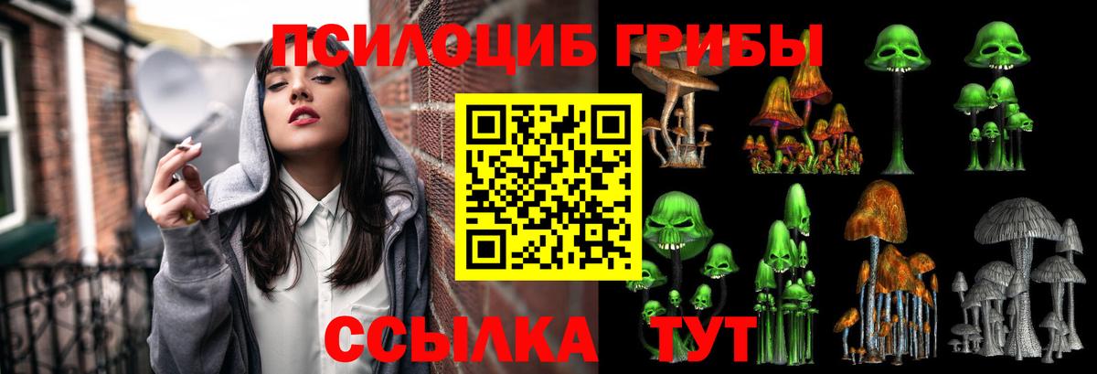 Псилоцибиновые грибы мухоморы  Вход с VPN  Галлюциногенные грибы ЛСД  Абакан 